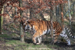 fotografie-19