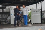 fotografie-1