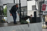 fotografie-10