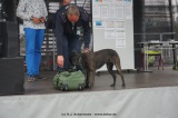 fotografie-12