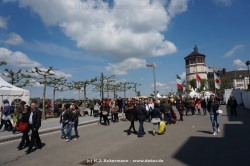 fotografie-33