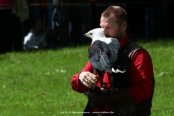 fotografie-1