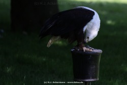 fotografie-1