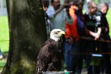 fotografie-11