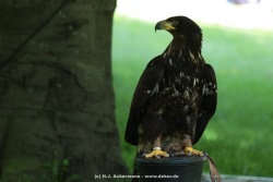 fotografie-12