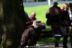 fotografie-13