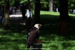 fotografie-14