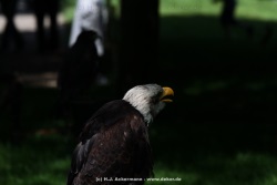 fotografie-15