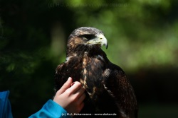 fotografie-15