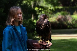 fotografie-16