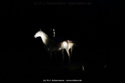 fotografie-43