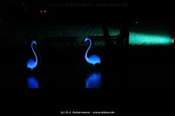 fotografie-117
