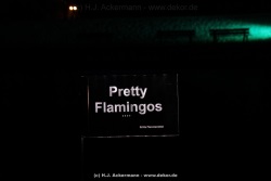 fotografie-31