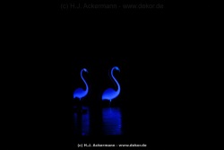 fotografie-149