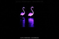 fotografie-170