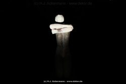fotografie-155