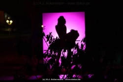 fotografie-104