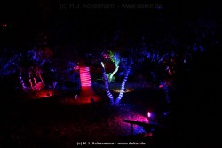 fotografie-5