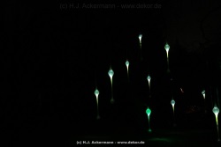fotografie-201