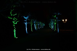 fotografie-46