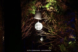 fotografie-119