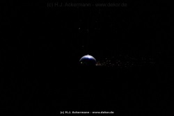 fotografie-13