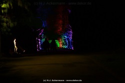 fotografie-146