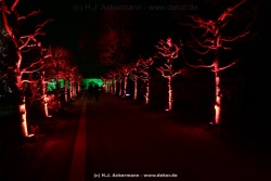 fotografie-9