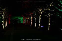 fotografie-83