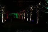 fotografie-99