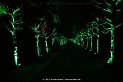 fotografie-6
