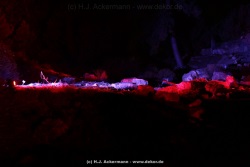 fotografie-55