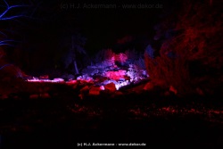 fotografie-51