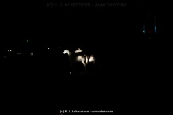 fotografie-109