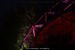 fotografie-9