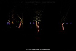 fotografie-46