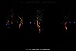 fotografie-127