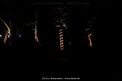 fotografie-77