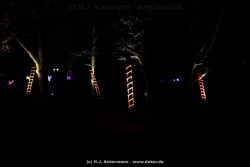 fotografie-24