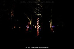 fotografie-176