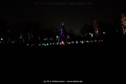 fotografie-61