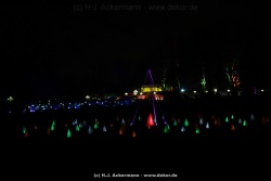 fotografie-43