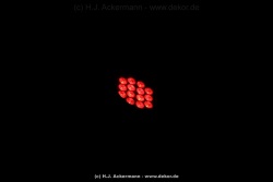 fotografie-149
