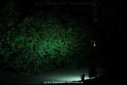 fotografie-28