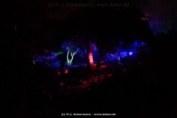fotografie-59