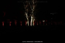 fotografie-171