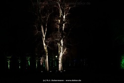 fotografie-113