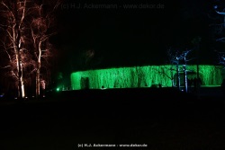 fotografie-37