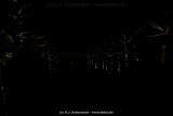 fotografie-111