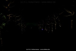 fotografie-111